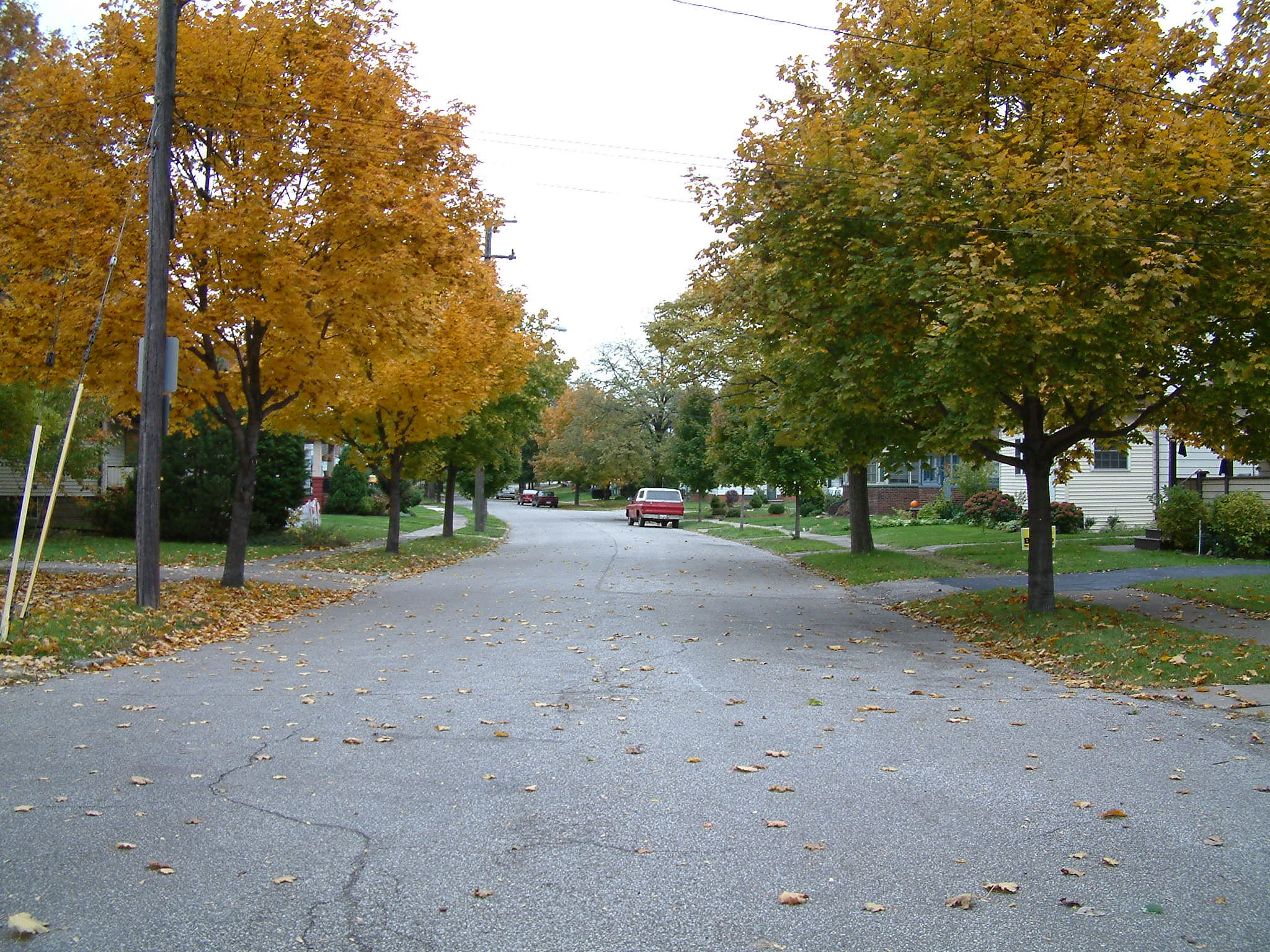 Residential street in autumn
