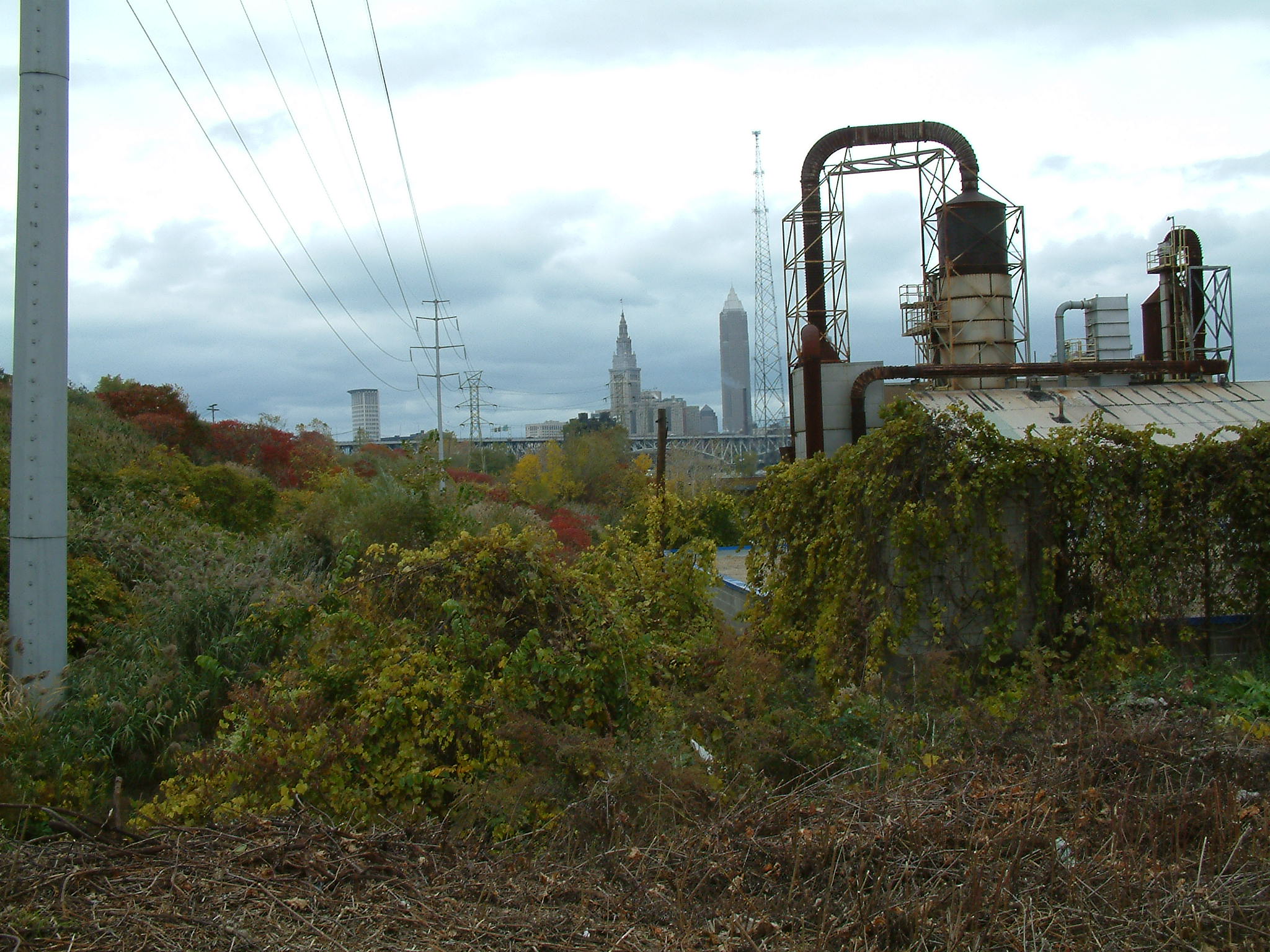 Industry in the Flats