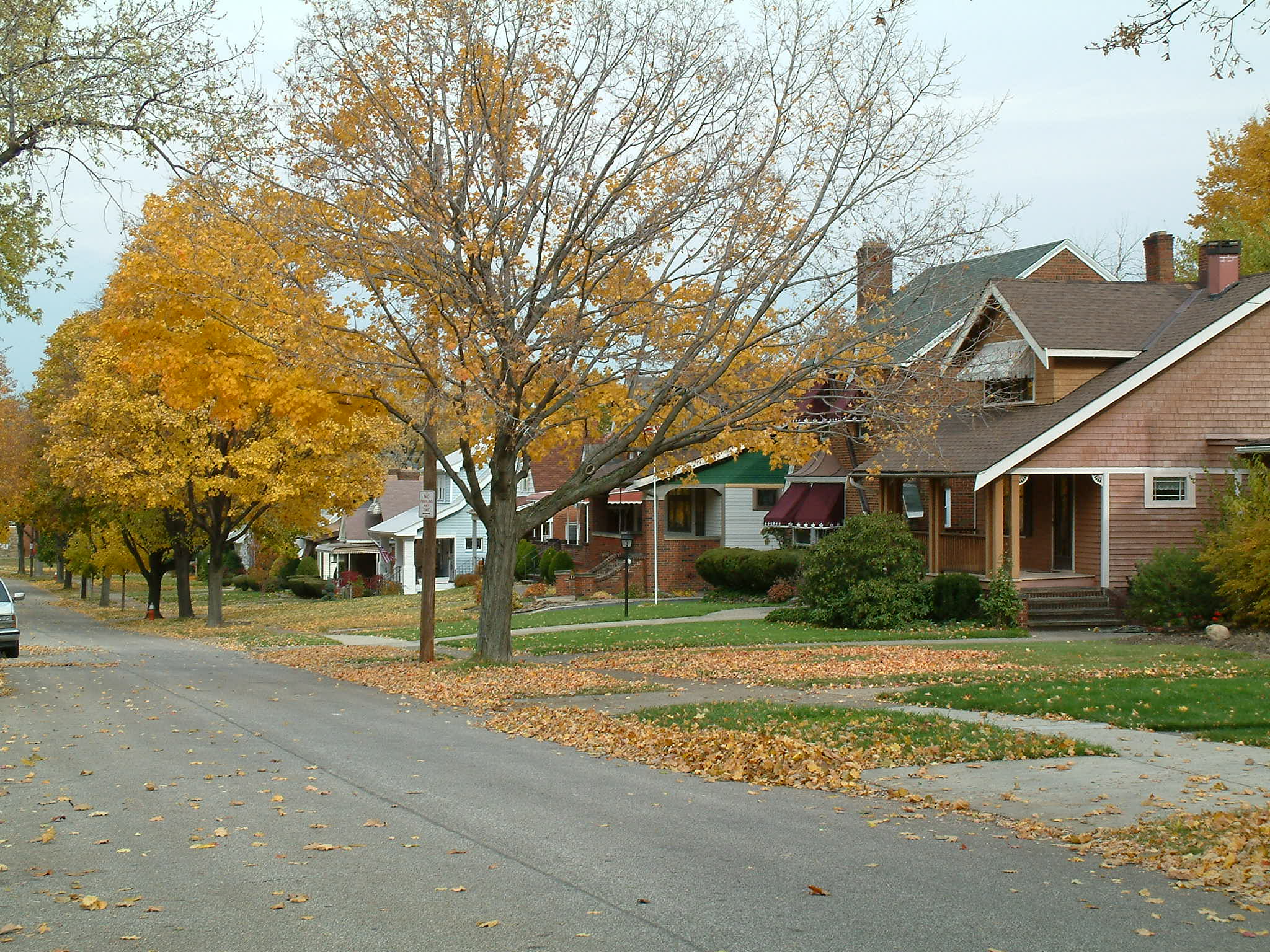 Residential street in autumn