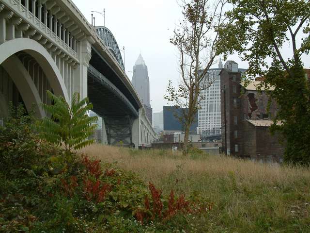 7231648_0621603943_o