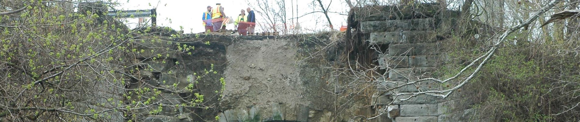 DOPWIC Bridge banner