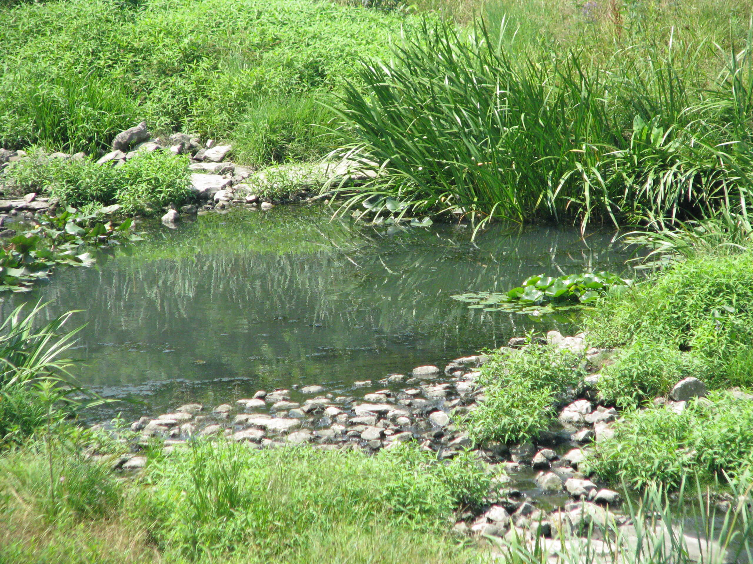 grn infr langerdale 07