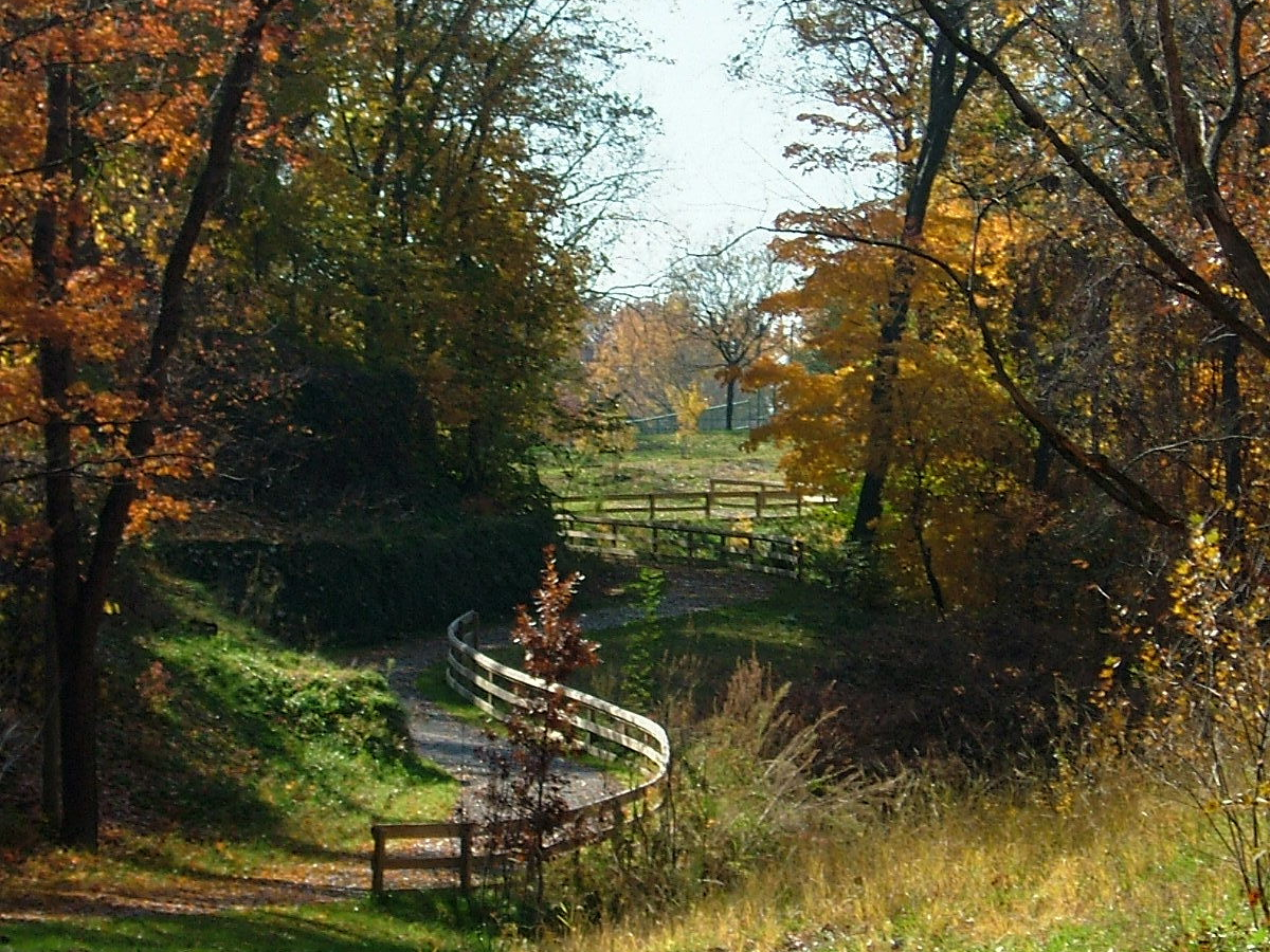 Treadway2008_cropped