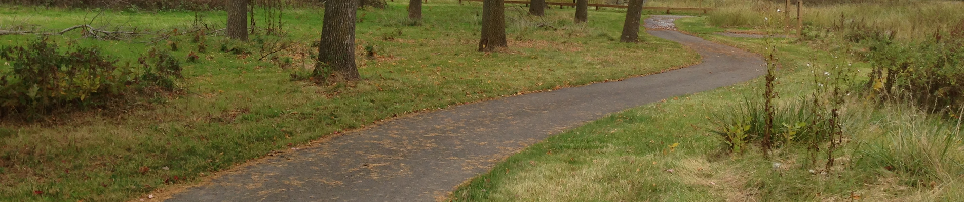 Trail in South Euclid