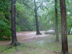water_feature_corridors