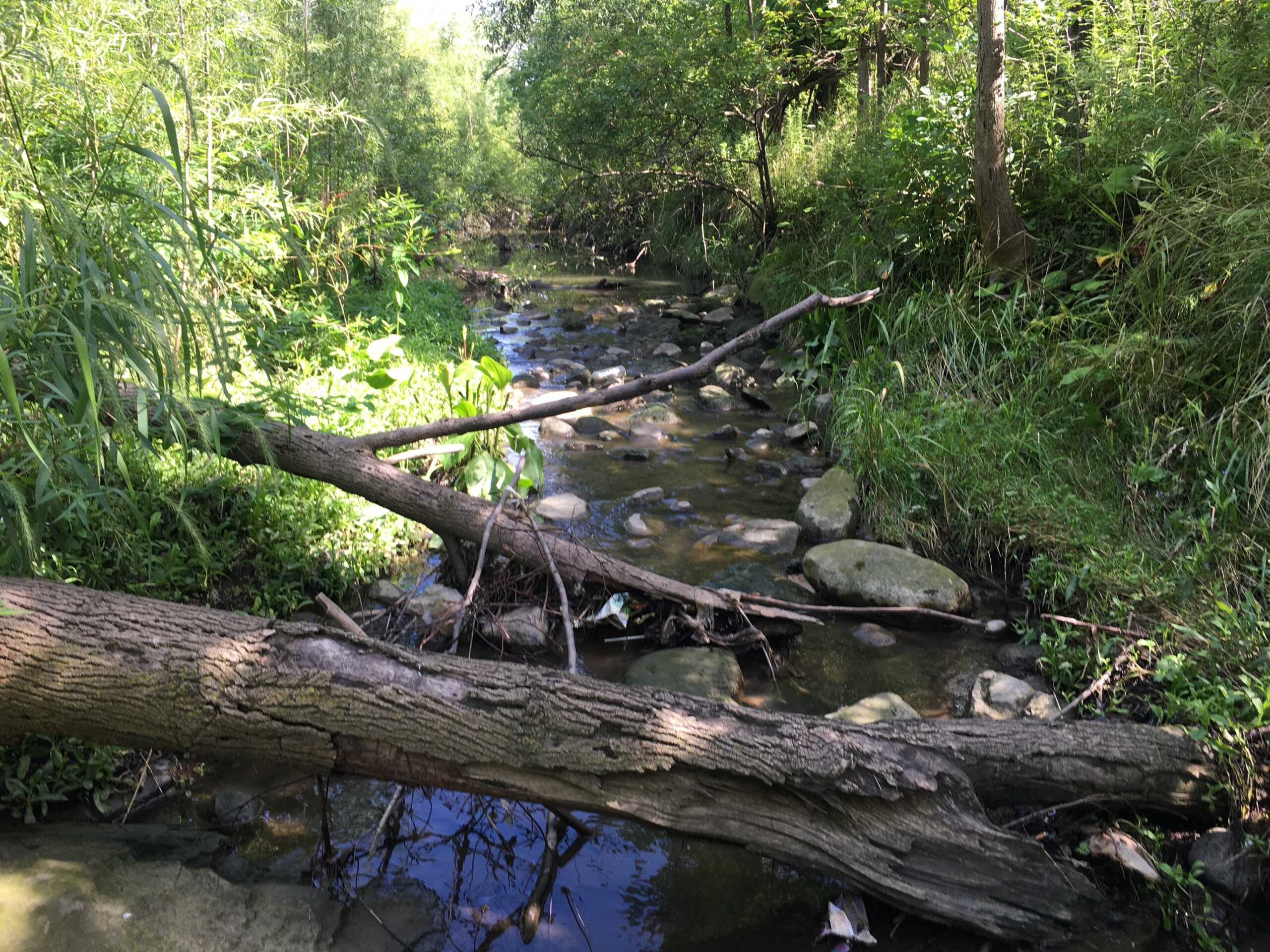 Clean Ohio Green Space Conservation Program