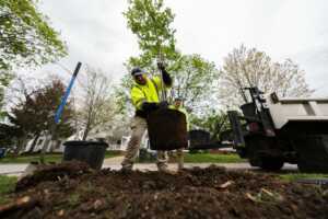 Brooklyn Tree Planting - May 2022