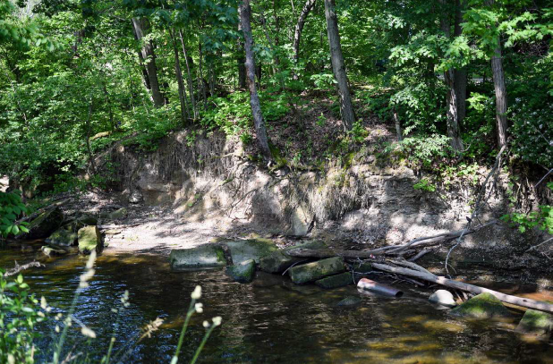 Cahoon Creek