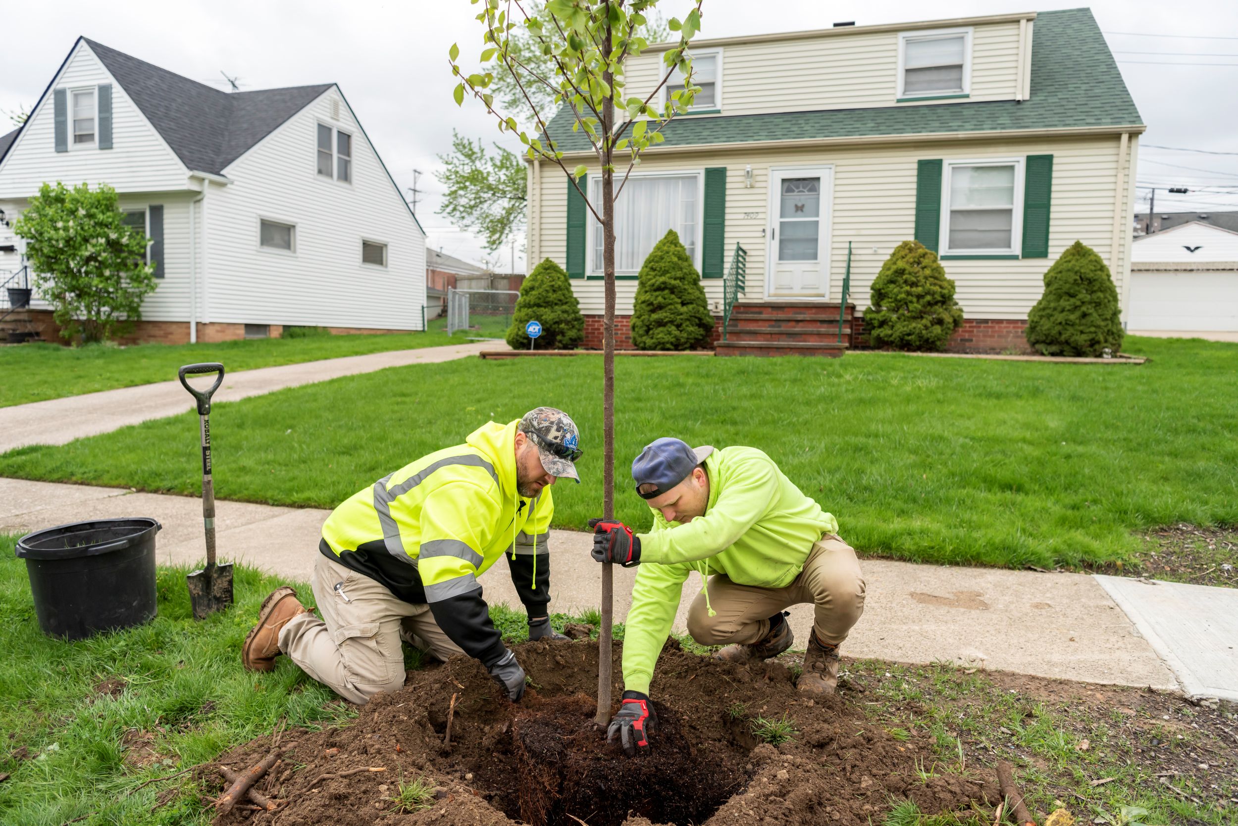 011-Trees-JJBrooklyn_DSC2184 - small